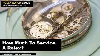 how much to service a rolex gmt master